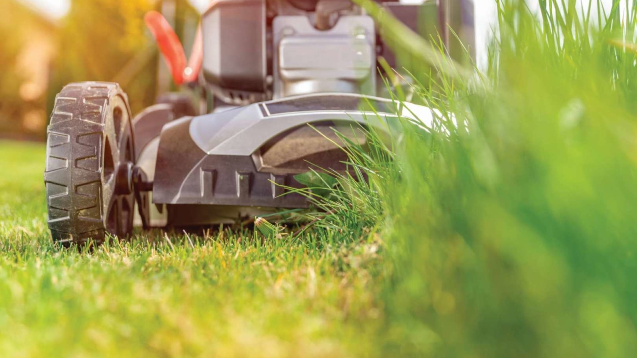 vecteezy_lawn-mower-in-action_1223655