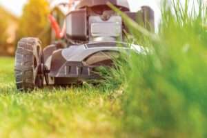 vecteezy_lawn-mower-in-action_1223655