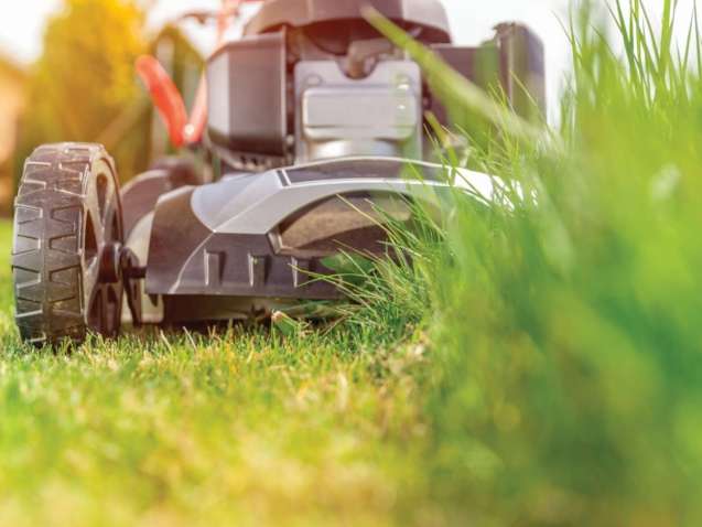vecteezy_lawn-mower-in-action_1223655