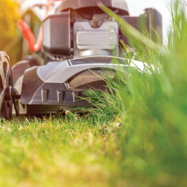 vecteezy_lawn-mower-in-action_1223655