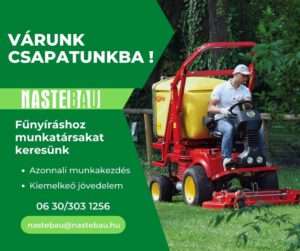 Fűnyíró munkatárs